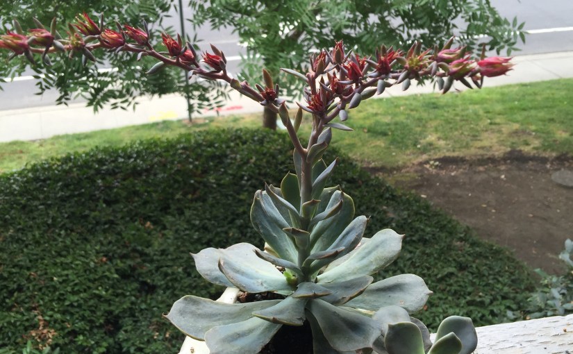 Moments in the&nbsp;Garden