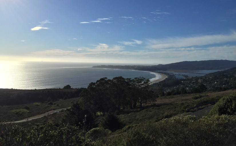 Zen Moments on Mt.&nbsp;Tamalpais