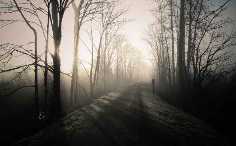 Mystical Art From Down the Rabbit&nbsp;Hole