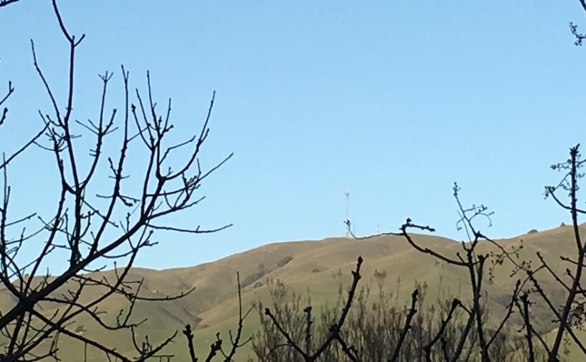 There is no God and We are His&nbsp;Prophets