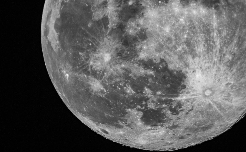 Introducing Atomic Brando in the&nbsp;Garden