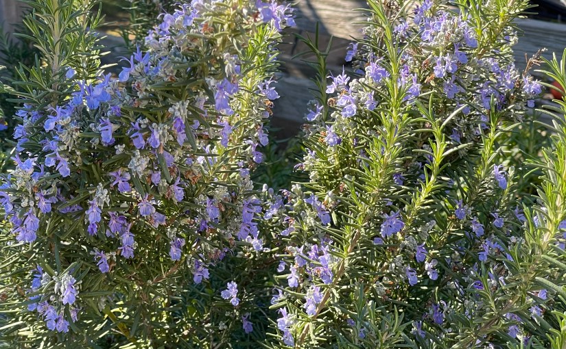 From “Epistles to Several Persons: Epistle&nbsp;IV”